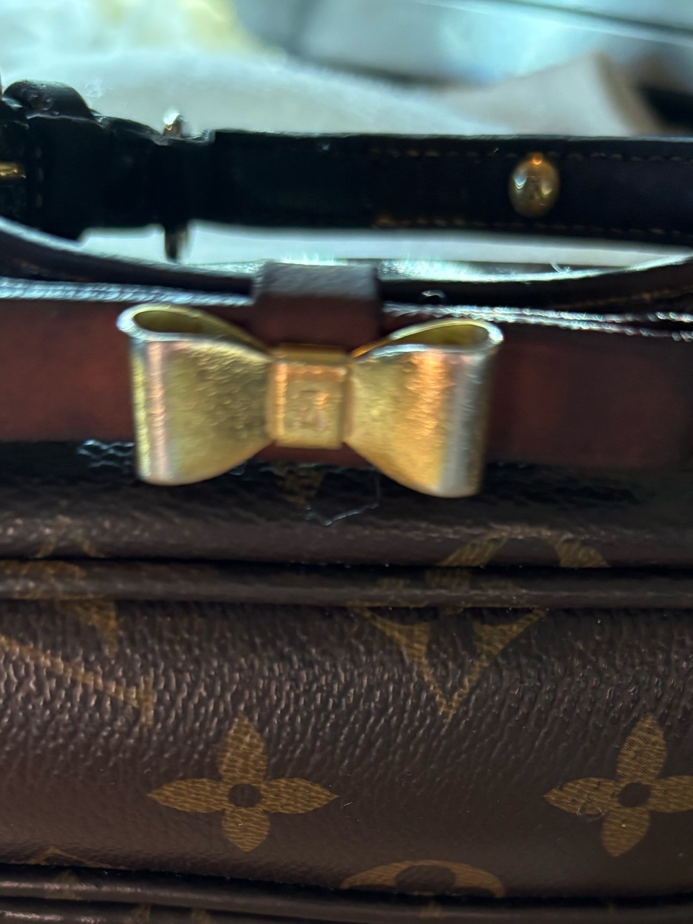 XS LOUIS VUITTON BAXTER COLLAR